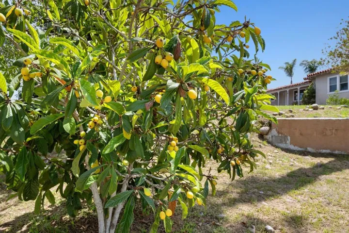 4222 Avocado Boulevard, La Mesa, California 91941