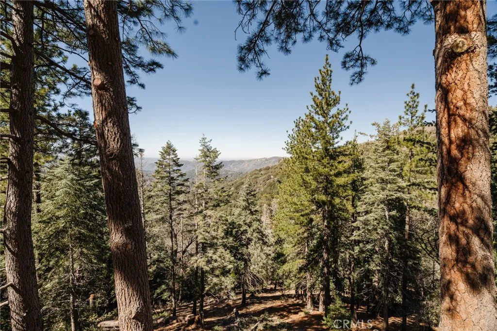 721 Chillon Drive, Crestline, California 92325 home-pic-17