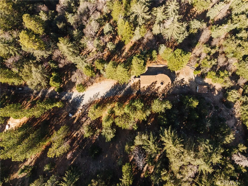 721 Chillon Drive, Crestline, California 92325 home-pic-3