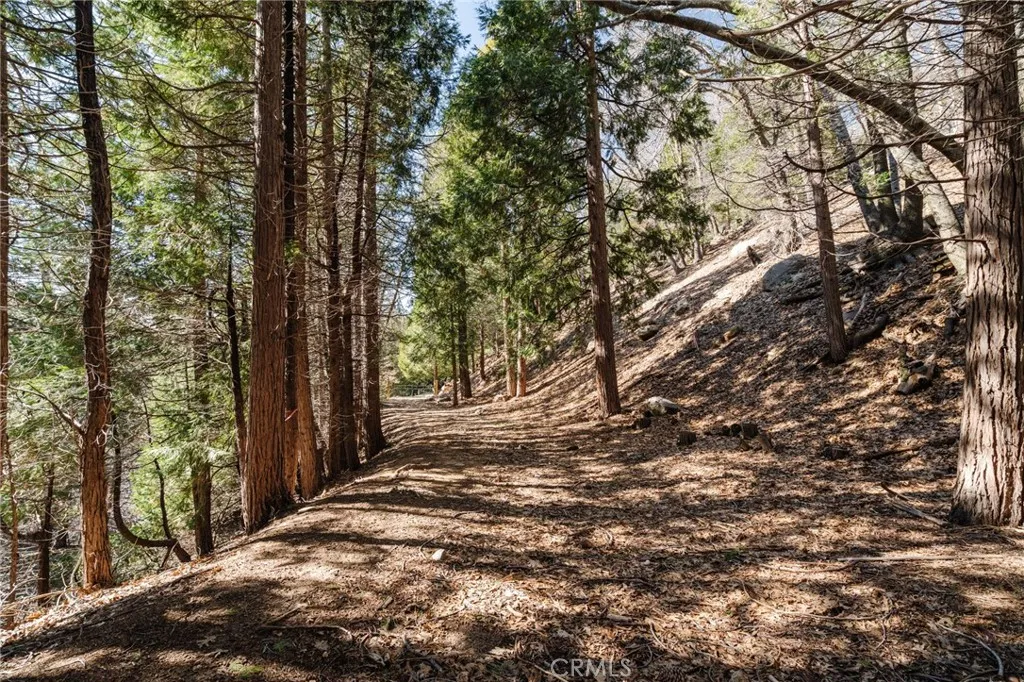 721 Chillon Drive, Crestline, California 92325 home-pic-22