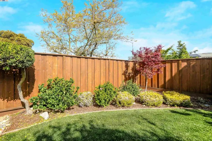 1654 Van Buren St, San Mateo, California 94403