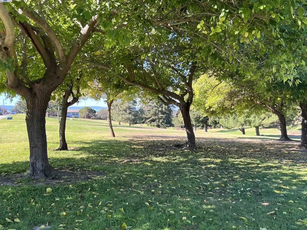 23920 Mayville Dr, Hayward, California 94541 home-pic-28