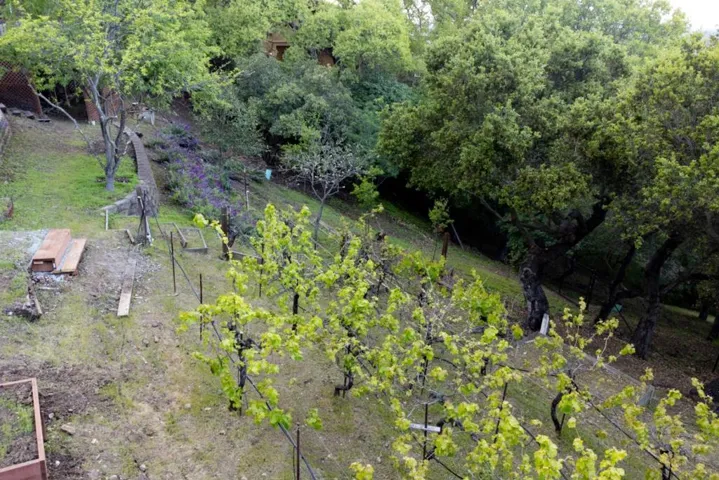 16060 Cerro Vista Drive, Los Gatos, California 95032