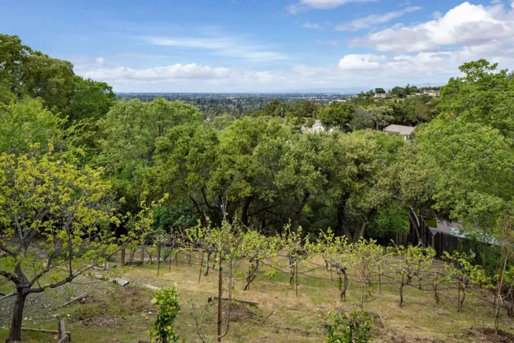 16060 Cerro Vista Drive, Los Gatos, California 95032