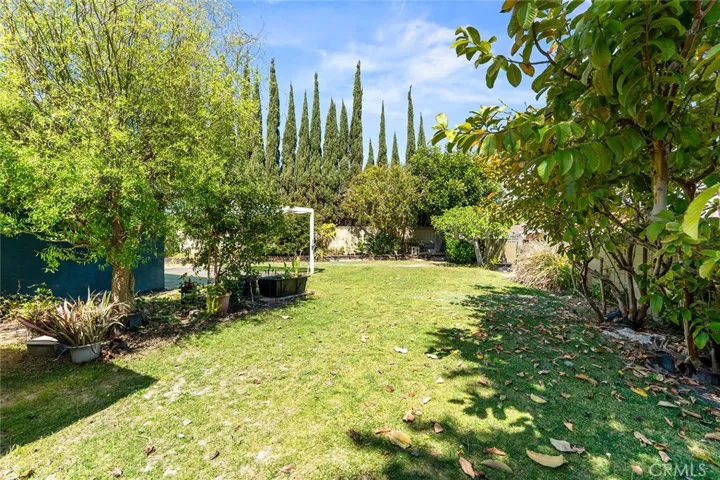 Backyard with lots of fruit trees