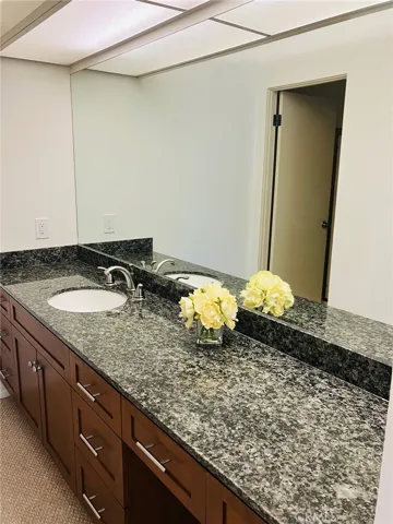 Primary vanity