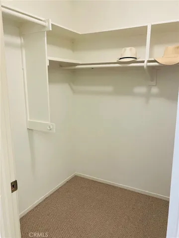 Primary walk incloset