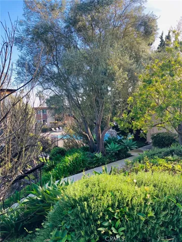 Lush Landscapng
