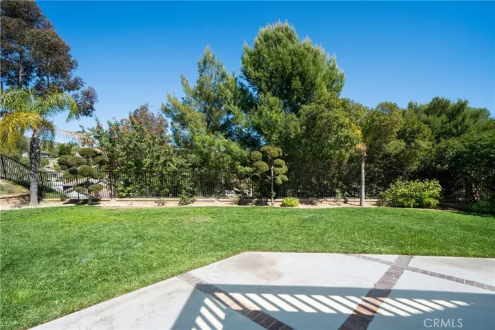 View from patio to backyard fence.