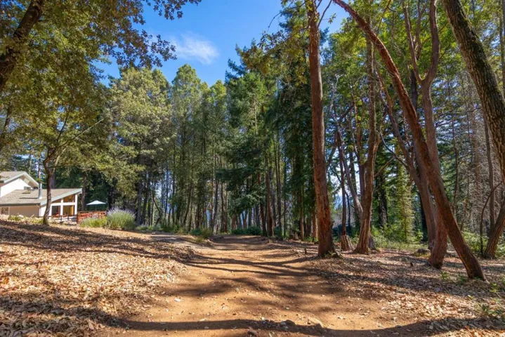 9755 Empire Grade, Santa Cruz, California 95060