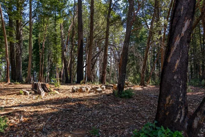 9755 Empire Grade, Santa Cruz, California 95060