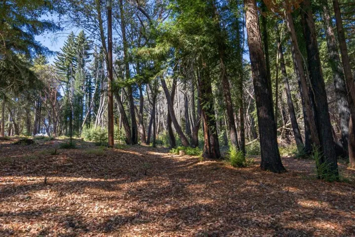 9755 Empire Grade, Santa Cruz, California 95060