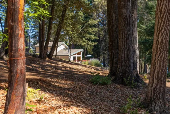 9755 Empire Grade, Santa Cruz, California 95060