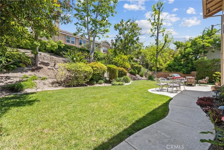 Backyard-1