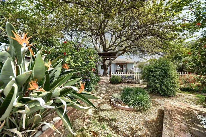 147 Cedar Ln, San Jose, California 95127