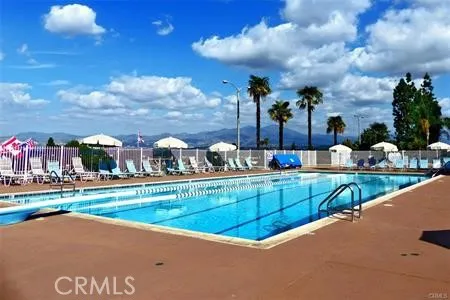 Pool with a view