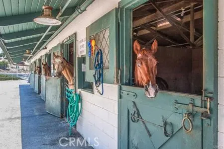 Horse stables