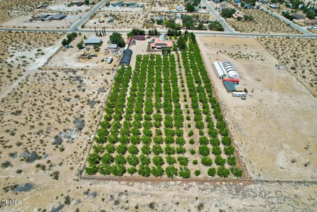9975 Custer Avenue, Lucerne Valley, California 92356 home-pic-9