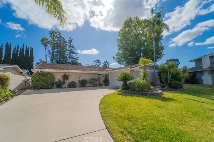 LARGE FRONT DRIVEWAY