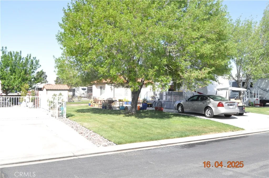 Check out the Mature Shade Tree and Lawn.