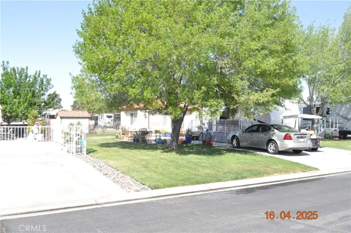 Check out the Mature Shade Tree and Lawn.