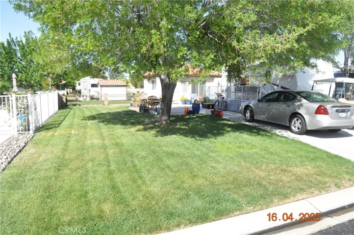 Check out this Lush Lawn