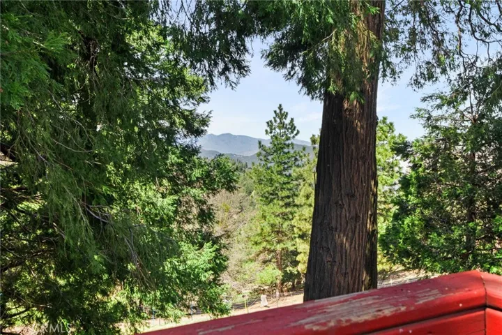 22396 Mojave River Road, Cedarpines Park, California 92322
