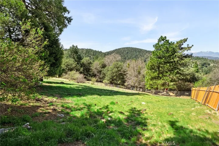 22396 Mojave River Road, Cedarpines Park, California 92322