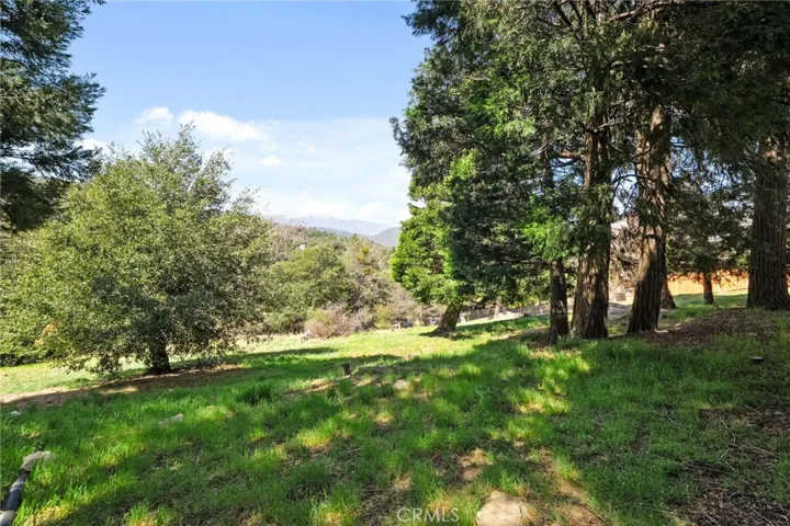 22396 Mojave River Road, Cedarpines Park, California 92322