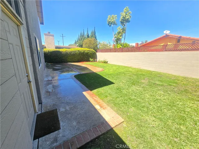 Grassy backyard