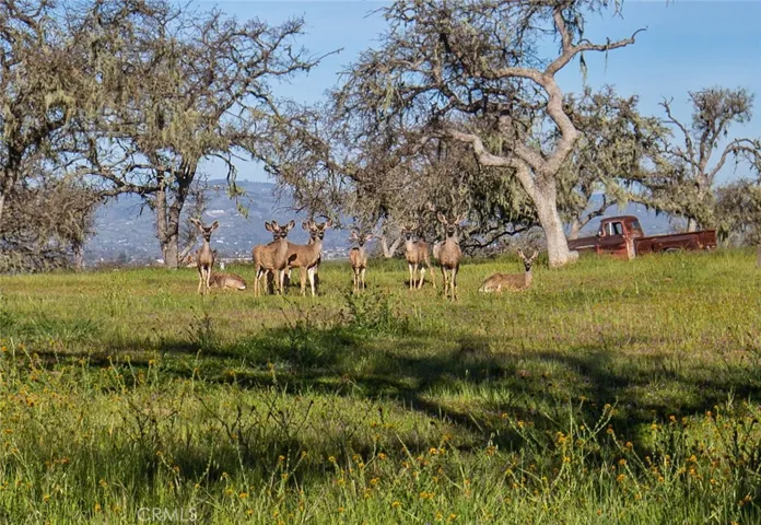 930 Windwood Road, Paso Robles, California 93446