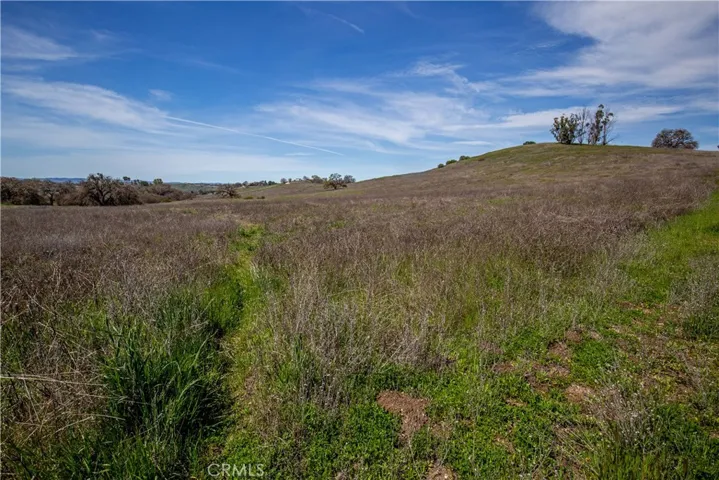 930 Windwood Road, Paso Robles, California 93446