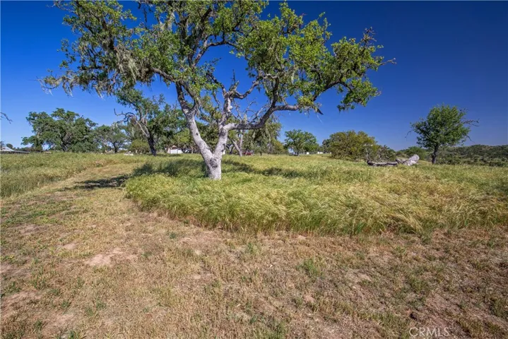 930 Windwood Road, Paso Robles, California 93446