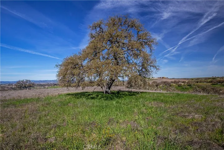 930 Windwood Road, Paso Robles, California 93446