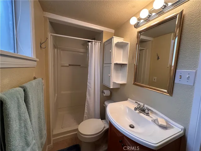 Basement suite bathroom