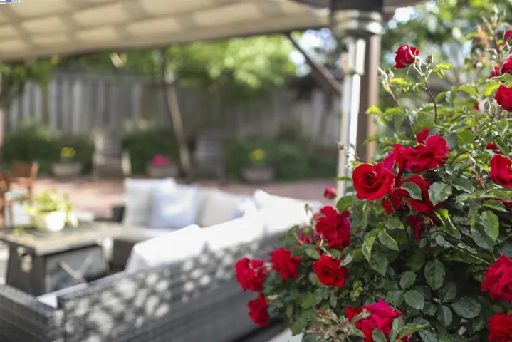 3189 W Las Positas Blvd, Pleasanton, California 94588
