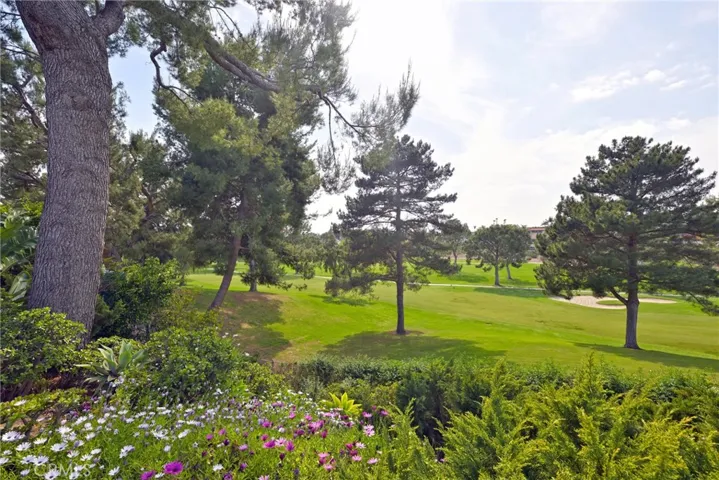 5061 W Knoll Drive, Yorba Linda, California 92886