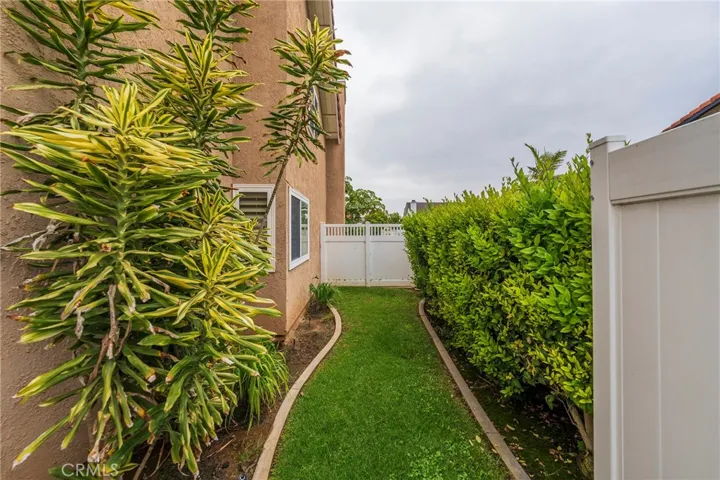 Grassy side yard