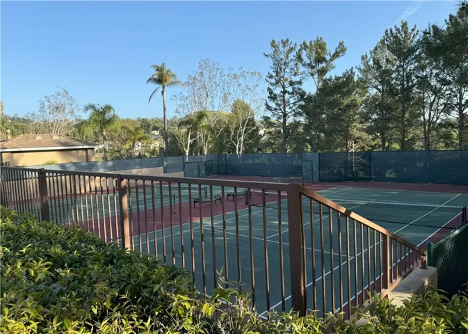 Tennis or pickleball