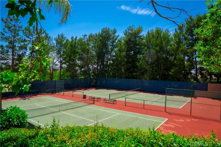 Tennis or pickleball