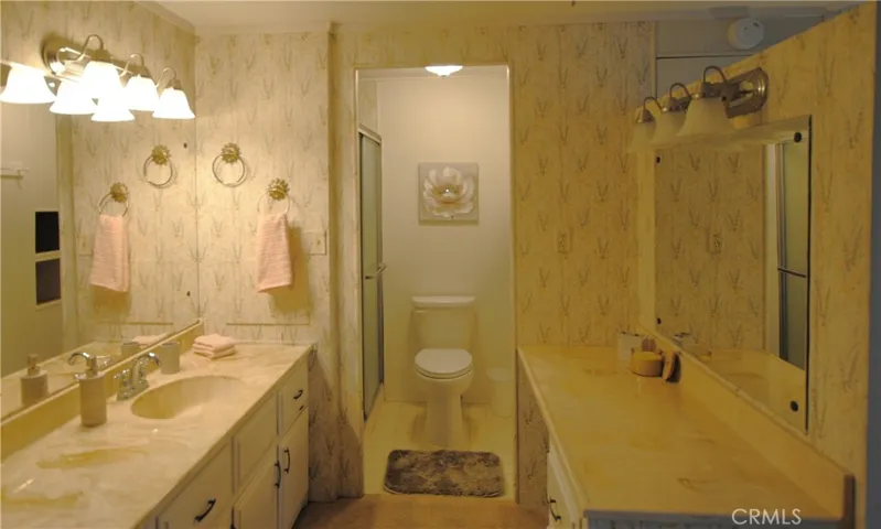 Primary bathroom has shower
