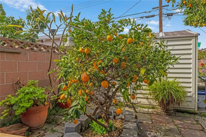 11211 Palmwood Drive, Garden Grove, California 92840