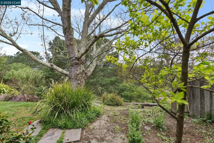138 Ardith Drive, Orinda, California 94563