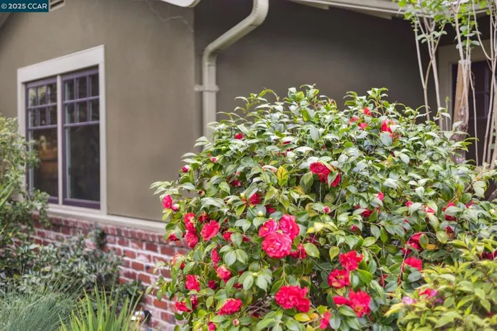 138 Ardith Drive, Orinda, California 94563