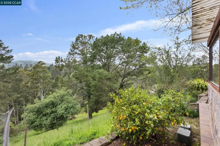 138 Ardith Drive, Orinda, California 94563