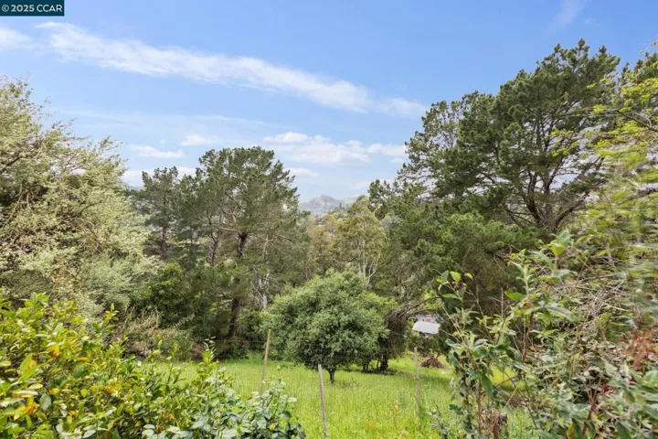 138 Ardith Drive, Orinda, California 94563