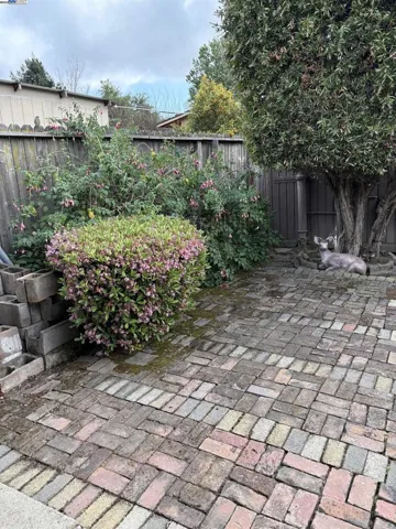 21393 Birch St, Hayward, California 94541