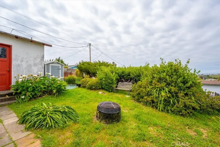 Backyard Area