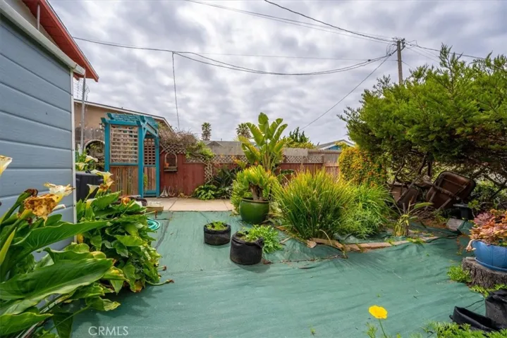 Backyard Area