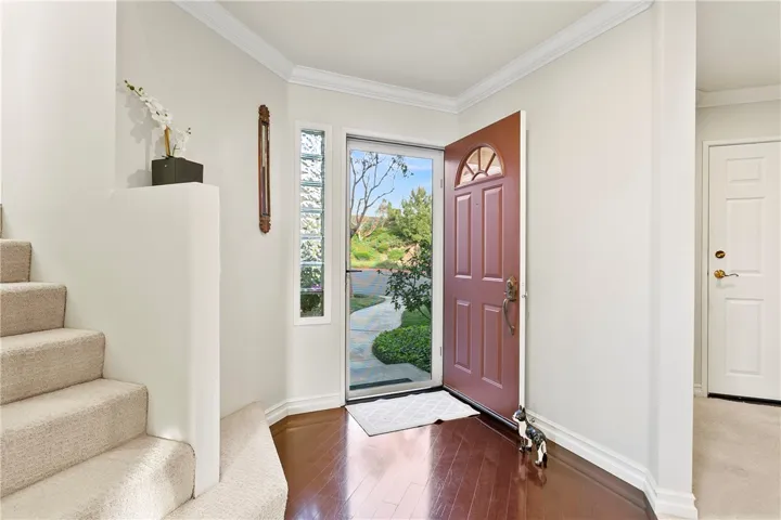 Looking Out Front Door